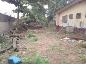 Image 1 Title