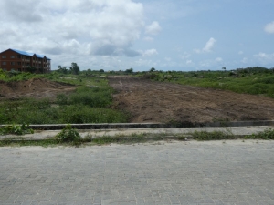 Image 1 Title