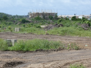Image 1 Title