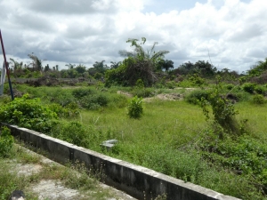 Image 1 Title