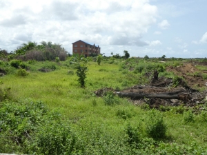 Image 1 Title