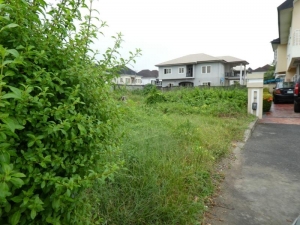 Image 1 Title