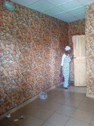 Decent Mini Flat At Ilaje Road  Flat for Rent Yaba Lagos Vetra  Property