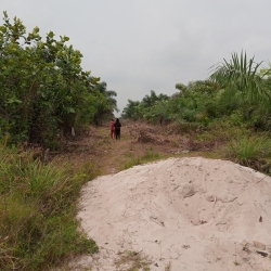 Receipt And Excision 40 Plots of Land for Sale Ajah Lagos Vetra  Property