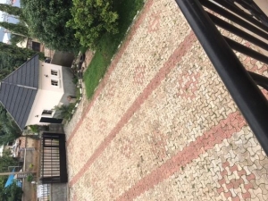 Image 1 Title