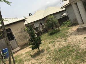 Image 1 Title