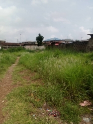 Well Fenced And Gated Solid Plot Of Land Measuring About 1200sqm Along Olowu Street, Ikeja 1,200 Meter Square of Land for Sale Ikeja Lagos Vetra  Property