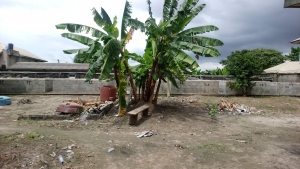 2,700sqm Of Land For Sale In Ajao Eatate 2,700 Meter Square of Land for Sale Isolo Lagos Vetra  Property