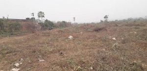 320sqm (half Plot) Of Land With Receipt And Survey Going For N23million 320 Meter Square of Land for Sale Kosofe Ikosi Lagos Vetra  Property