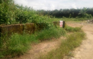 A 400sqm Land That Can Contain About 4 Bedrooms Apartment With Parking Spaces At Use Offot Nwaniba Uyo 400 Meter Square of Land for Sale Uyo Akwa Ibom Vetra  Property