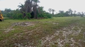 100% Total Dry Table Land Wonderful For Dream Home 600 Meter Square of Land for Sale Ibeju Lekki Lagos Vetra  Property