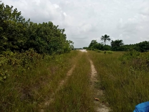 Image 1 Title