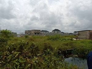 Image 1 Title