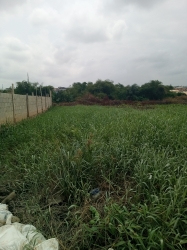 For Sale Expanse Prime Bare Land On 6 Plots At Oke -ira, Ogba Lagos State.* 6 Plots of Land for Sale Ogba Lagos Vetra  Property