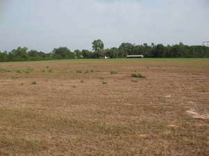 Plot Of Land  Land for Sale Epe Lagos Vetra  Property