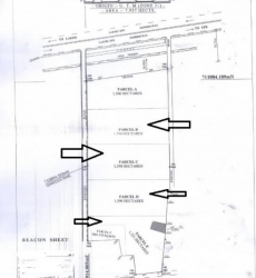 Image 1 Title
