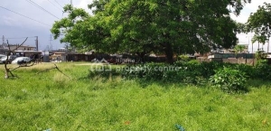 Plot Measuring 5 Acres 5 Acres of Land for Sale Apapa Lagos Vetra  Property