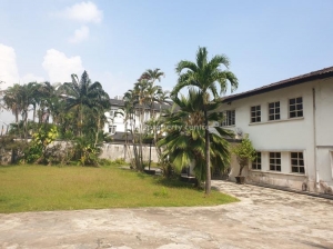 Image 1 Title