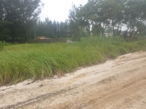 Standalone 1,000 Or 1,500 Or 2,000 Square Meters Plots In Mixed Use Zone Land for Sale Ikoyi Lagos Vetra  Property