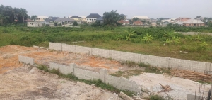  2 Plots Of Land 2 Plots of Land for Sale Isolo Lagos Vetra  Property
