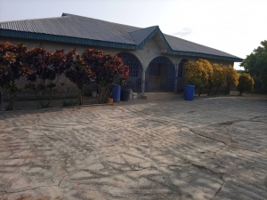 Image 1 Title