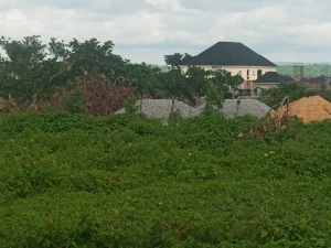 Perfect Residential Land With C Of O 500 Meter Square of Land for Sale Lugbe Abuja Vetra  Property