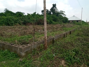 A Full Plot Of Land For Sale At Off Alakia Iyana Agbala 900k Asking Price 24/7 Electricity Land for Sale Ibadan Oyo Vetra  Property