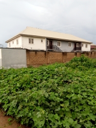 Image 1 Title