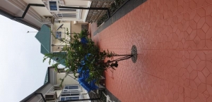 Image 1 Title