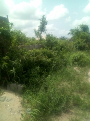180acres Of Land  180 Acres of Land for Sale Yewa Ogun Vetra  Property