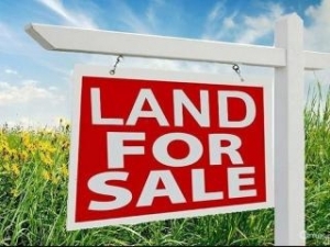 Institutional Land Measuring 6000 Square Meters 6,000 Meter Square of Land for Sale Ajah Lagos Vetra  Property