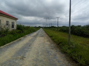 Image 1 Title