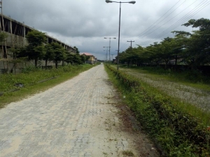 Image 1 Title