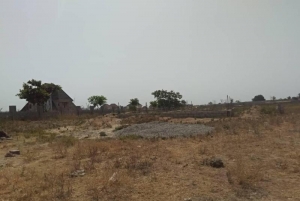 Image 1 Title
