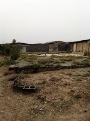 Image 1 Title