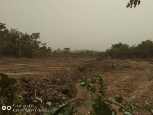 300 Sqm Peretown City Estate Phase 2, Behind Law School, Bwari Abuja 300 Meter Square of Land for Sale Phase 2 Abuja Vetra  Property