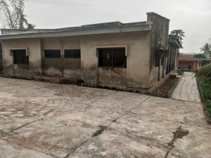 Image 1 Title