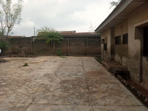 Image 1 Title
