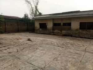 Image 1 Title