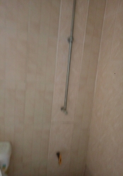 Image 1 Title