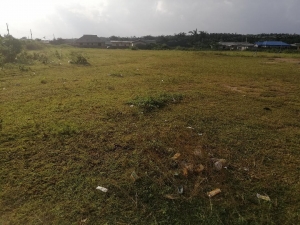 Image 1 Title