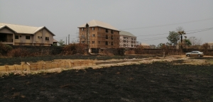 Image 1 Title