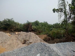 Image 1 Title