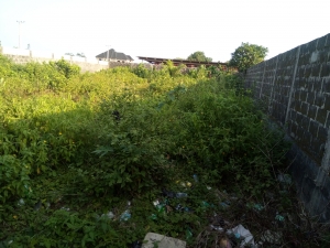 Image 1 Title