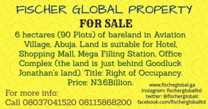 6 Acres Of Land 6 Acres of Land for Sale Central Area Abuja Vetra  Property