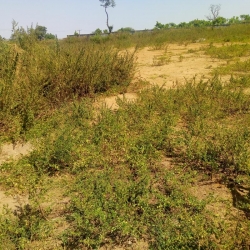 50ha Commercial Estate Development Plot In Giri, Abuja Land for Sale Gwagwalada Abuja Vetra  Property