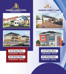 Diamond Homes Kyami 500sqm For Sale 500 Meter Square of Land for Sale Lugbe Abuja Vetra  Property