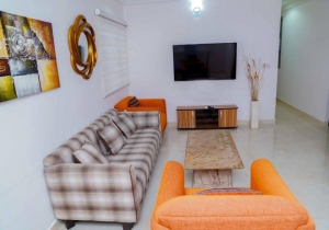 Superb 2 Bedroom Apartment In Victoria Island! 2 bedroom Flat for Short let Victoria Island Lagos Vetra  Property