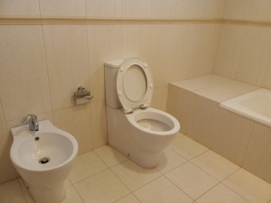 Image 1 Title