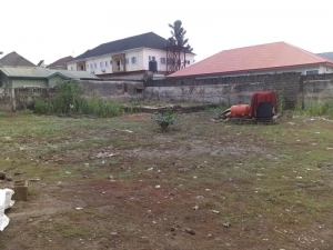 Prime Parcel Of Land Land for Sale Agege Lagos Vetra  Property